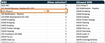 Work breakdown structure tab in oilfield field ticket template showing project phase codes and cost allocation settings.